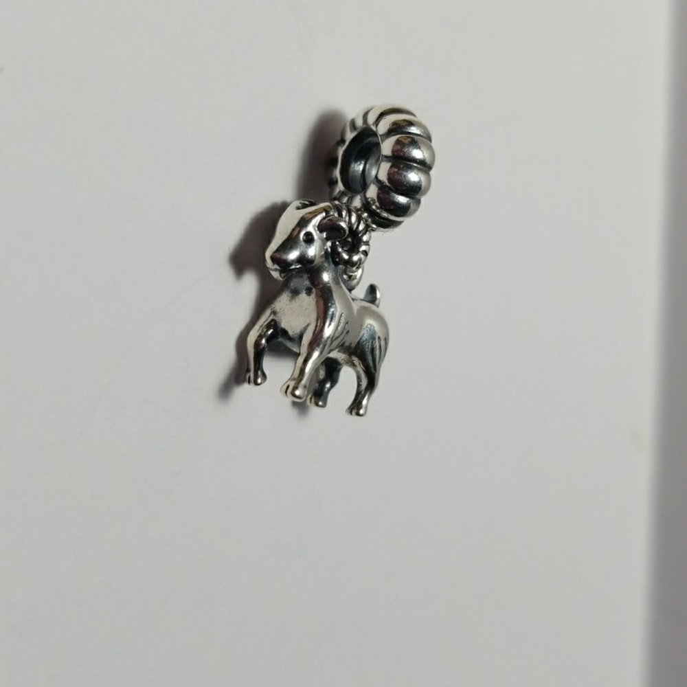 Pandora charm